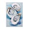 Stupell Industries Oyster Shell Trio Wall Plaque Design By Petal Prints Design